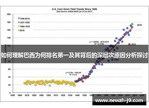 如何理解巴西为何排名第一及其背后的深层次原因分析探讨 如何理解巴西为何排名第一及其背后的深层次原因分析探讨