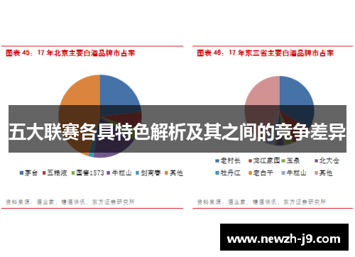 五大联赛各具特色解析及其之间的竞争差异 五大联赛各具特色解析及其之间的竞争差异